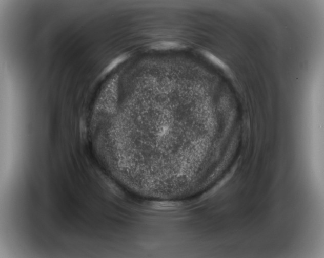 X0000083571305200703091629