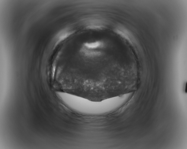 X0000083571306200703091629