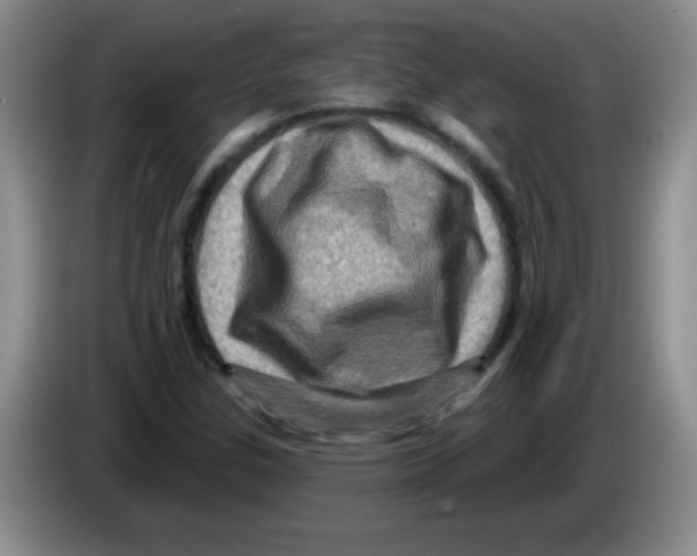 X0000083571307200703091629