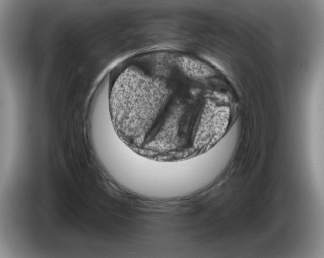 X0000083571308200703091629