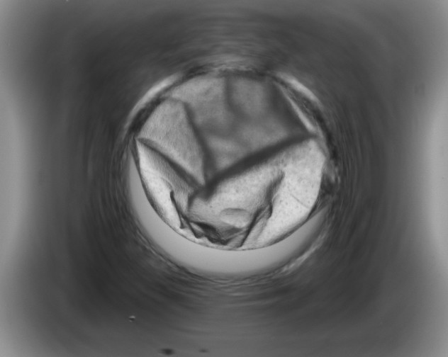 X0000083571309200703091629