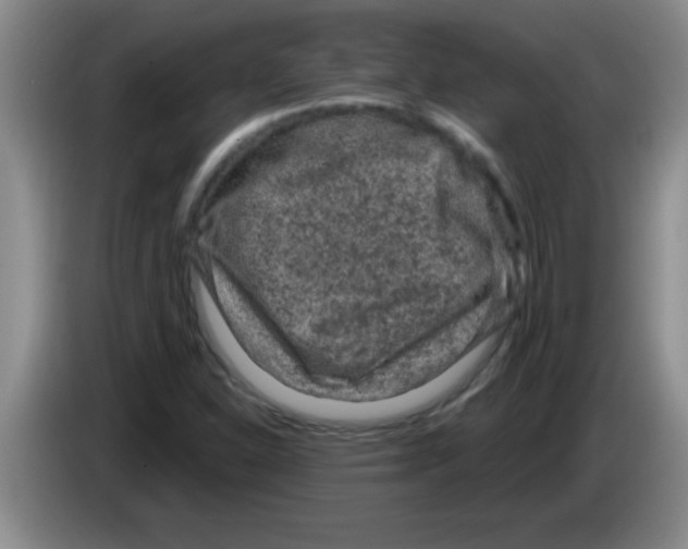 X0000083571310200703091629