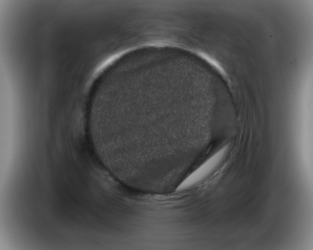 X0000083571311200703091629