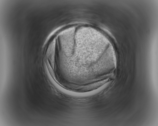 X0000083571312200703091629