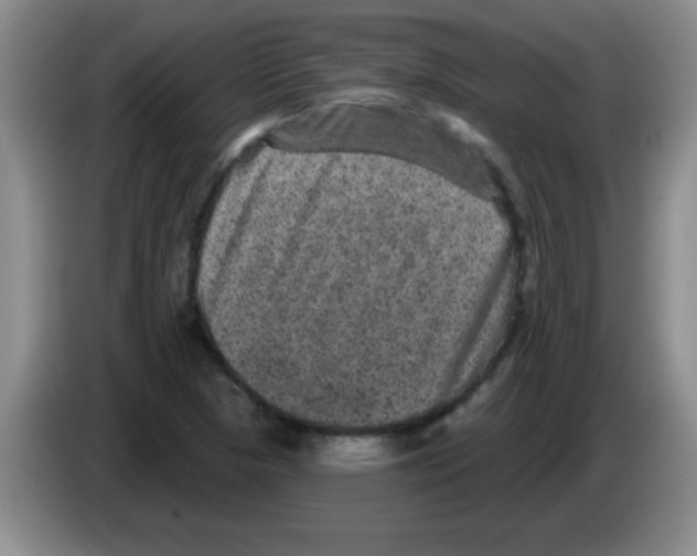 X0000083571313200703091629