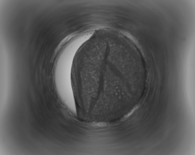 X0000083571314200703091629