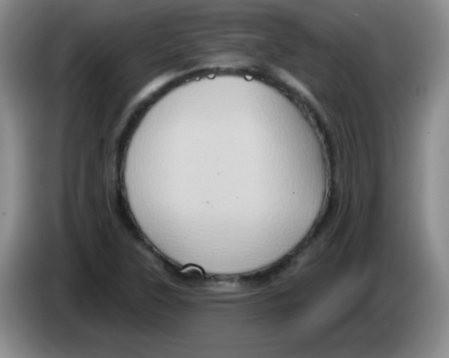 X0000083571315200703091629