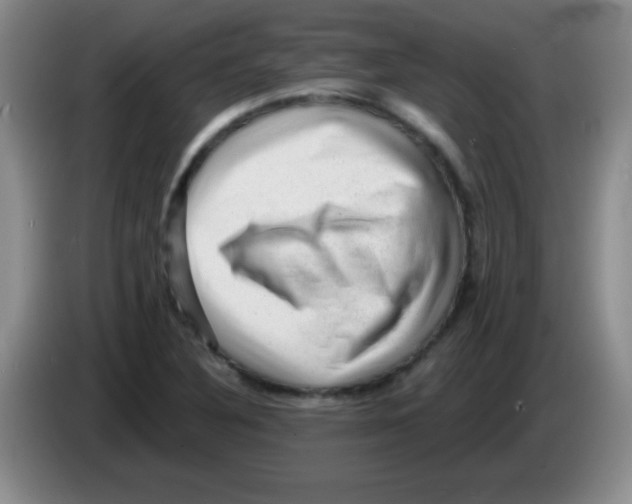 X0000083571316200703091629