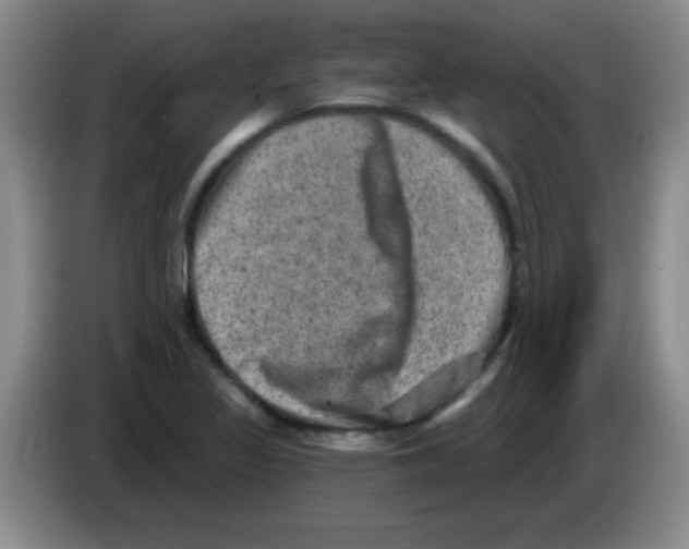 X0000083571317200703091629