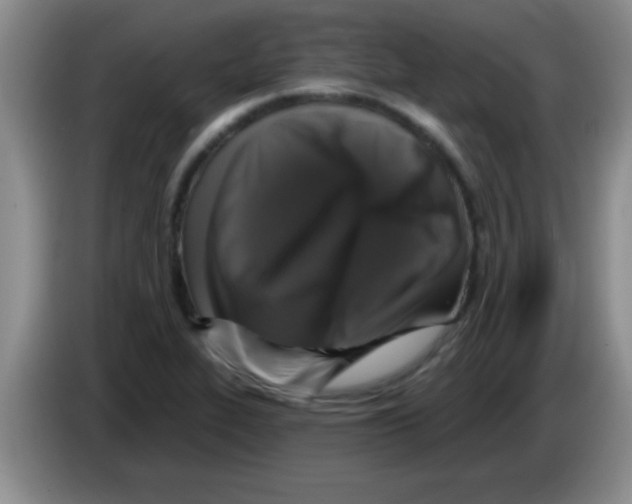X0000083571319200703091629
