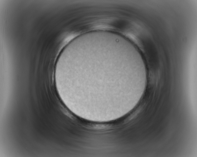 X0000083571322200703091629