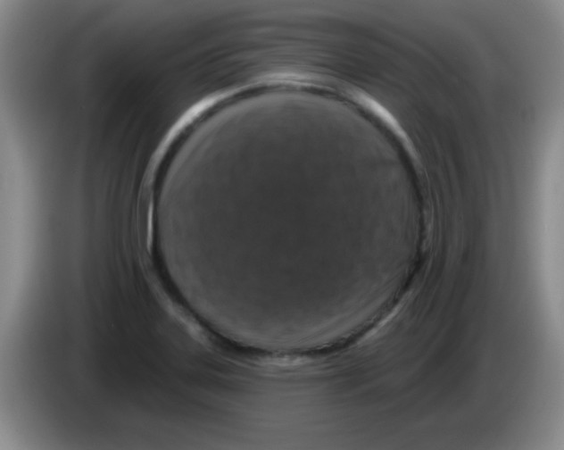 X0000083571323200703091629
