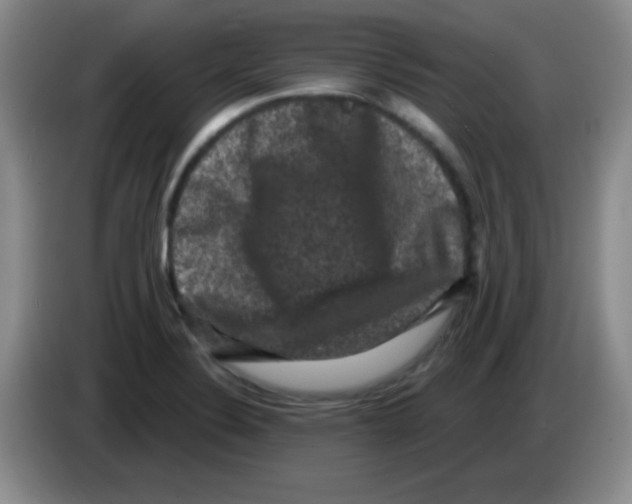 X0000083571324200703091629