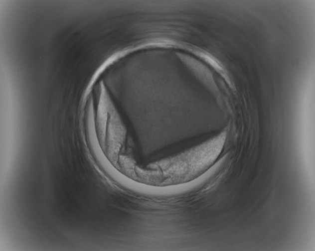X0000083571326200703091629