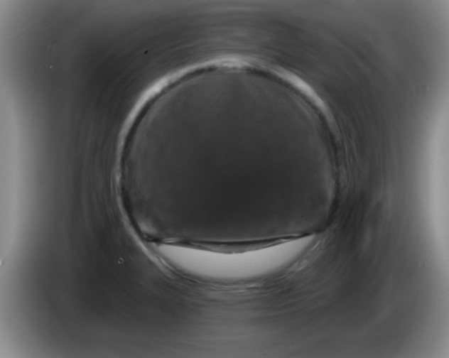 X0000083571327200703091629