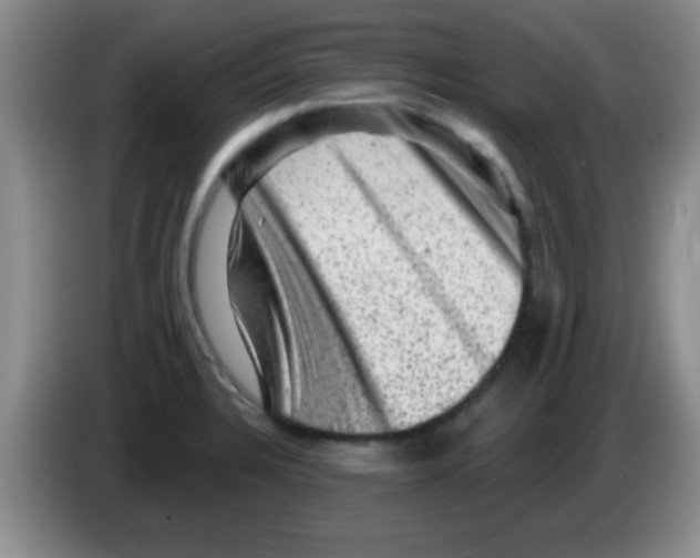 X0000083571328200703091629