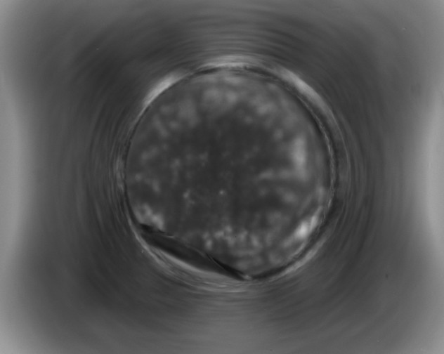 X0000083571329200703091629