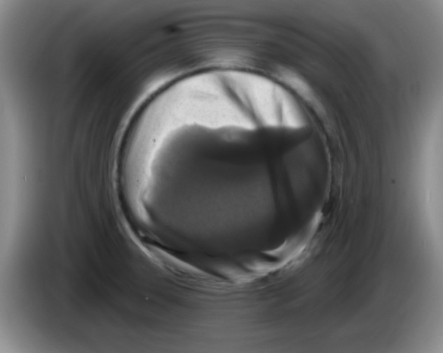 X0000083571331200703091629
