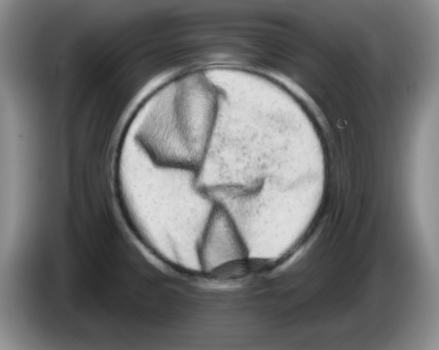 X0000083571333200703091629