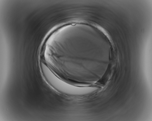 X0000083571334200703091629