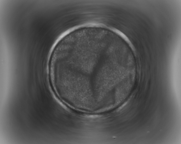 X0000083571335200703091629