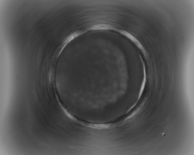 X0000083571337200703091629