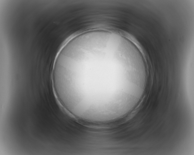 X0000083571338200703091629