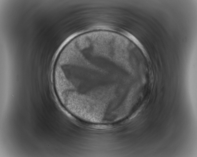 X0000083571339200703091629