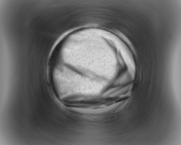 X0000083571340200703091629