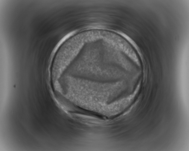 X0000083571341200703091629