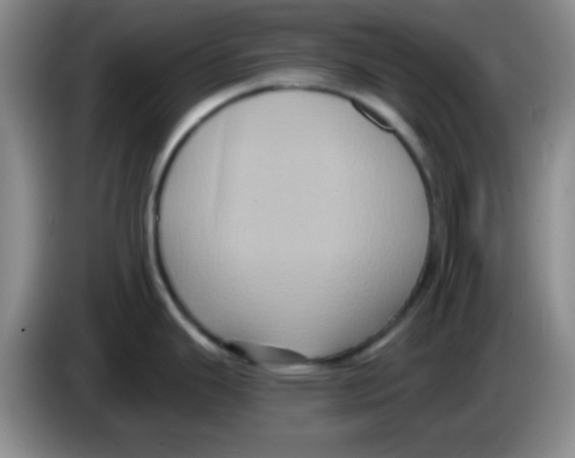 X0000083571343200703091629