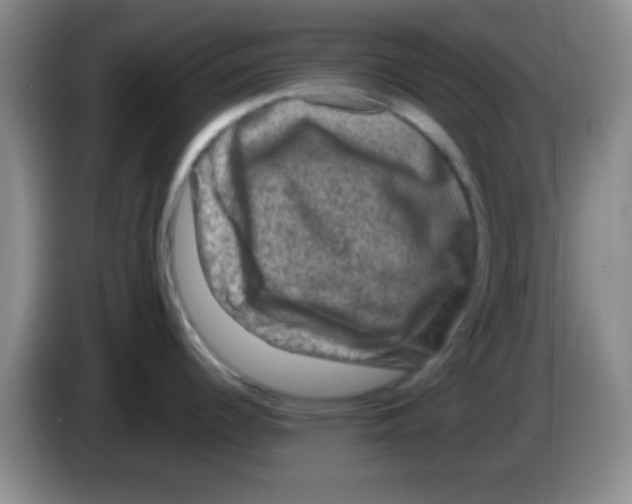 X0000083571344200703091629