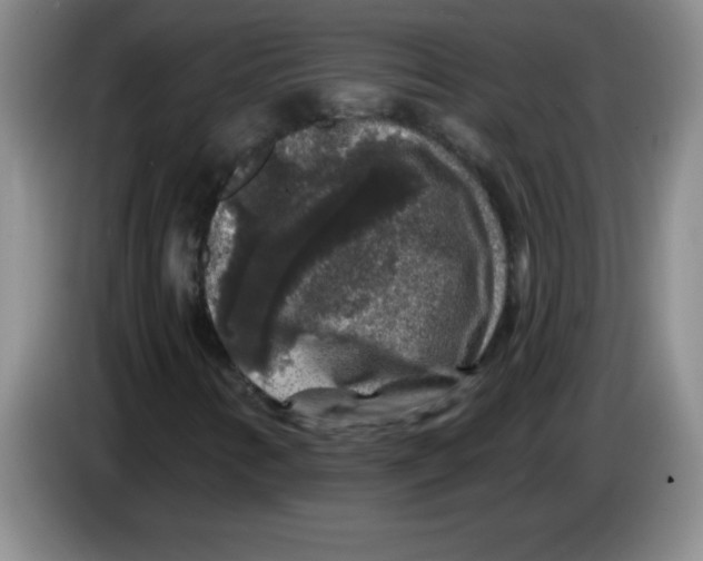 X0000083571346200703091629