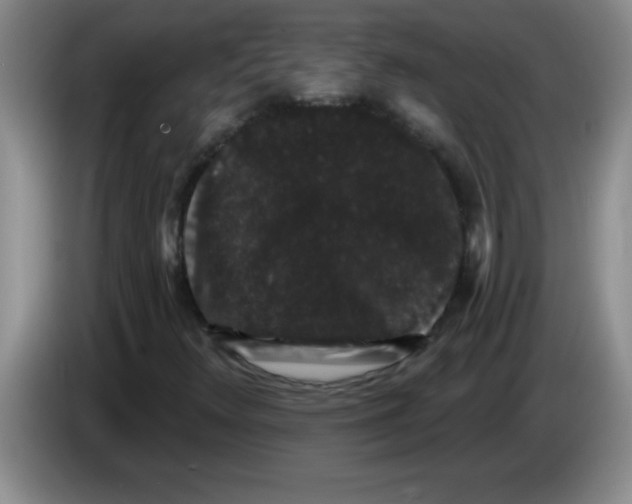 X0000083571348200703091629