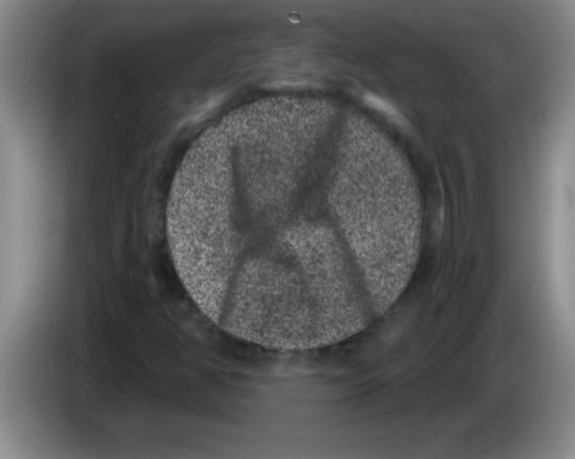 X0000083571350200703091629