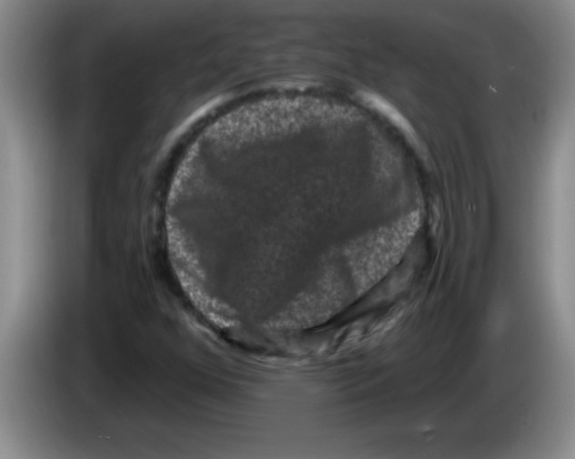 X0000083571352200703091629