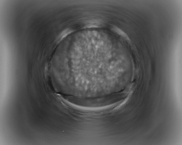 X0000083571353200703091629