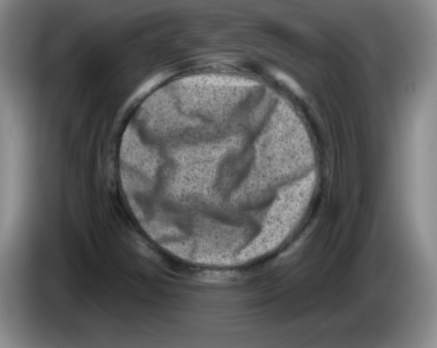 X0000083571354200703091629