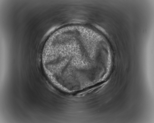 X0000083571355200703091629
