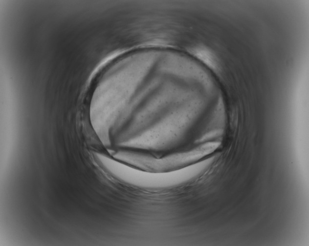 X0000083571356200703091629