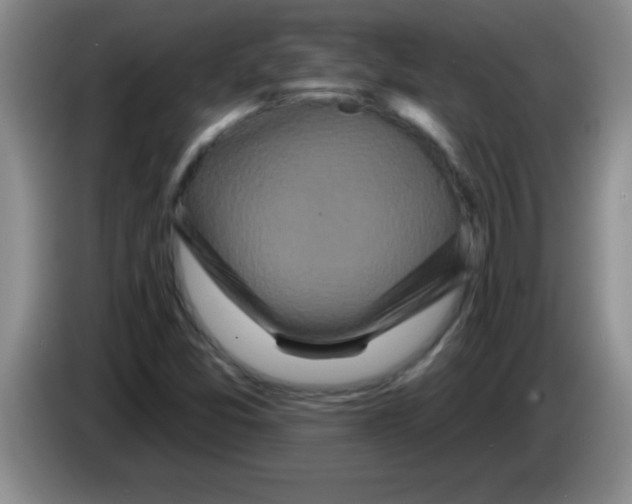 X0000083571357200703091629