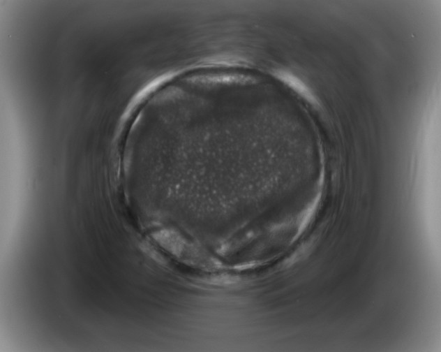 X0000083571358200703091629