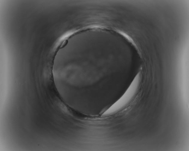 X0000083571359200703091629