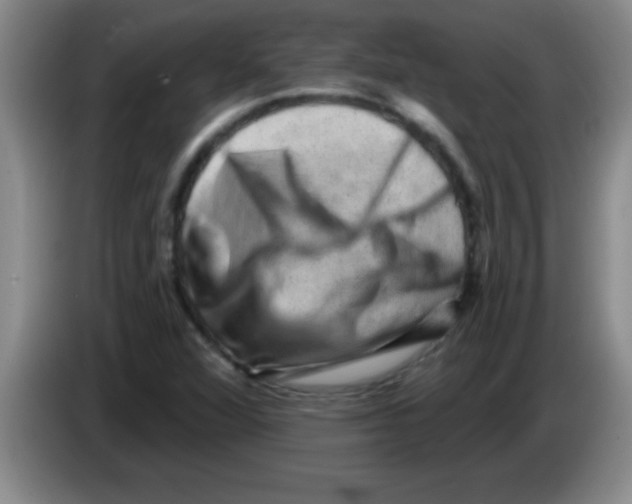 X0000083571360200703091629