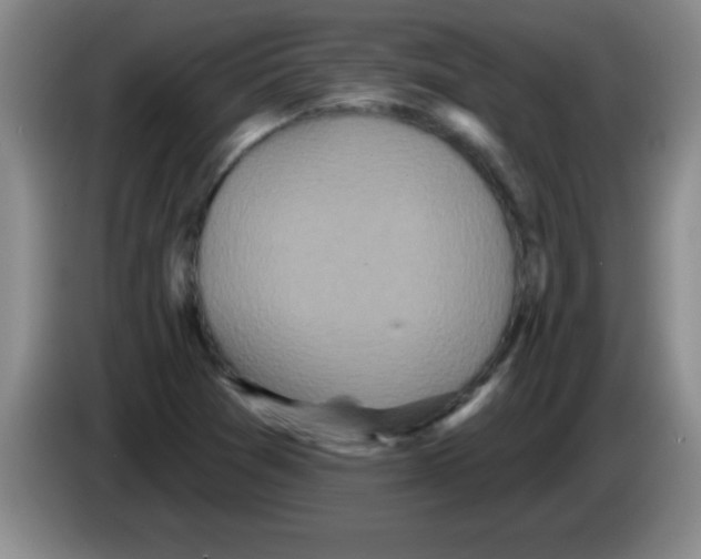 X0000083571361200703091629