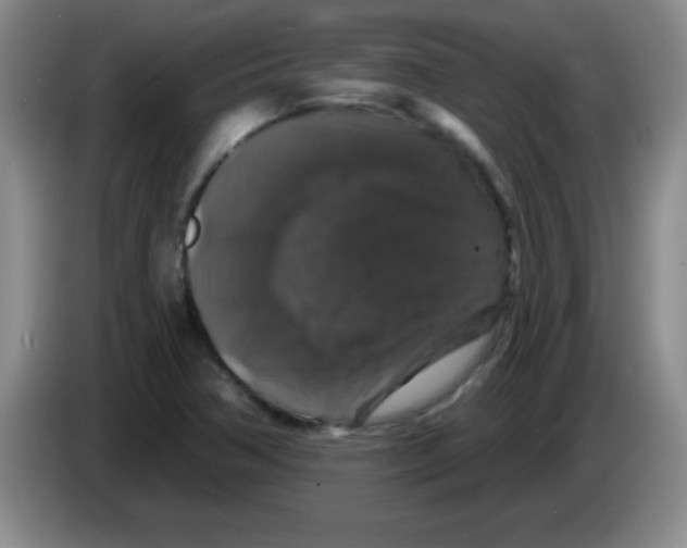 X0000083571362200703091629