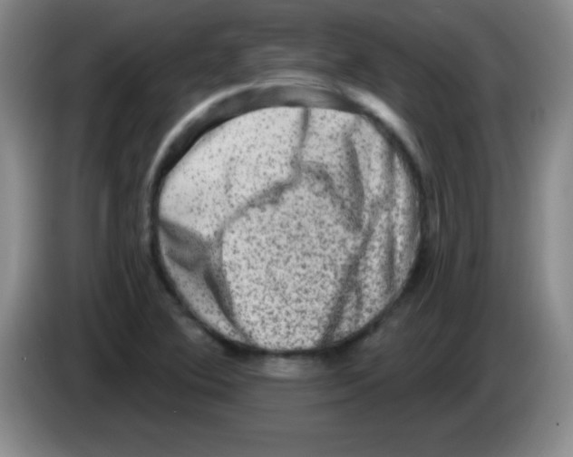 X0000083571364200703091629