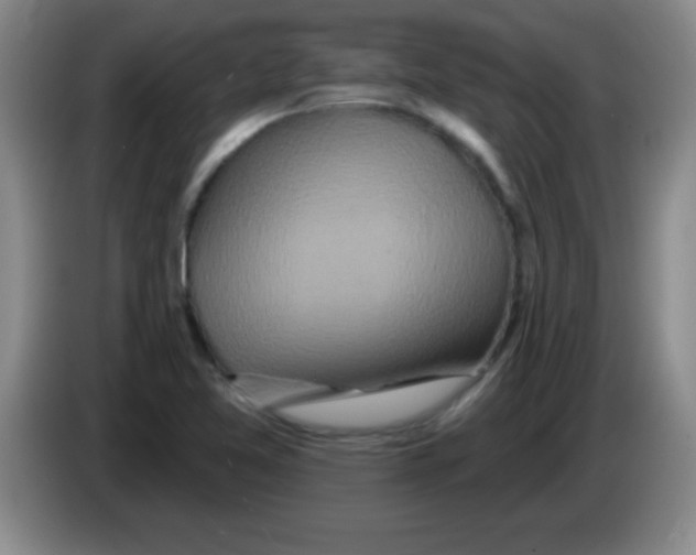 X0000083571365200703091629