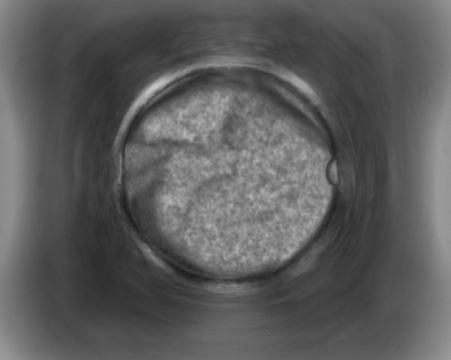 X0000083571366200703091628