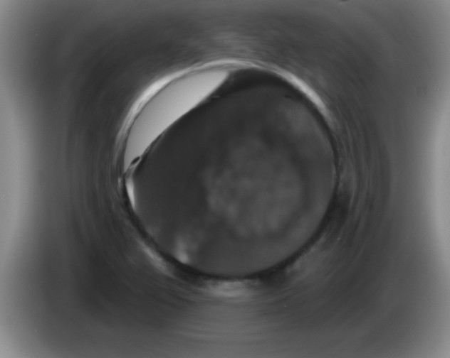 X0000083571367200703091628